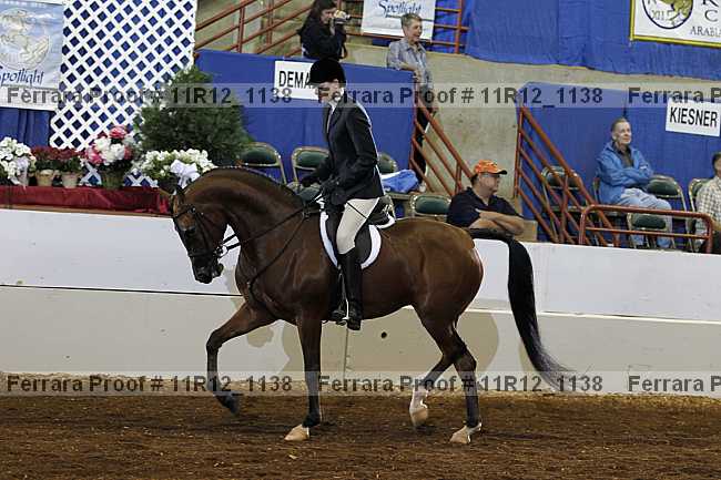 Proof 11r12_1138