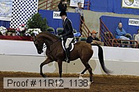 11r12_1138 proof