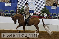 11r12_1141 proof