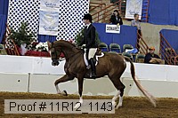 11r12_1143 proof