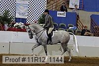 11r12_1144 proof