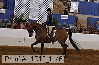 11r12_1146 proof