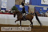 11r12_1148 proof