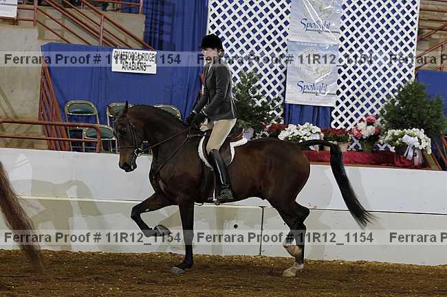Proof 11r12_1154