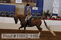 11r12_1155 proof