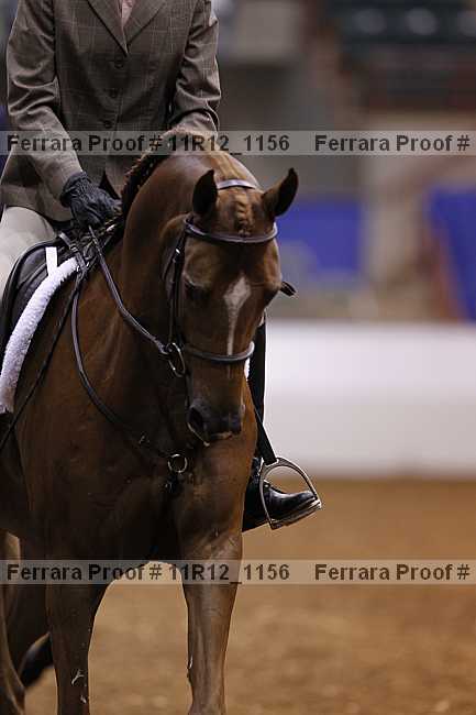 Proof 11r12_1156