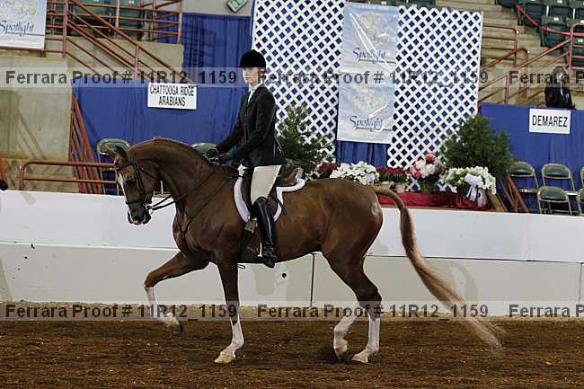 Proof 11r12_1159