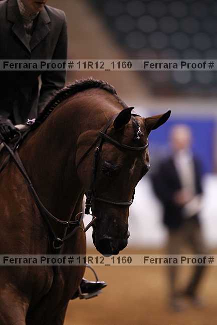 Proof 11r12_1160