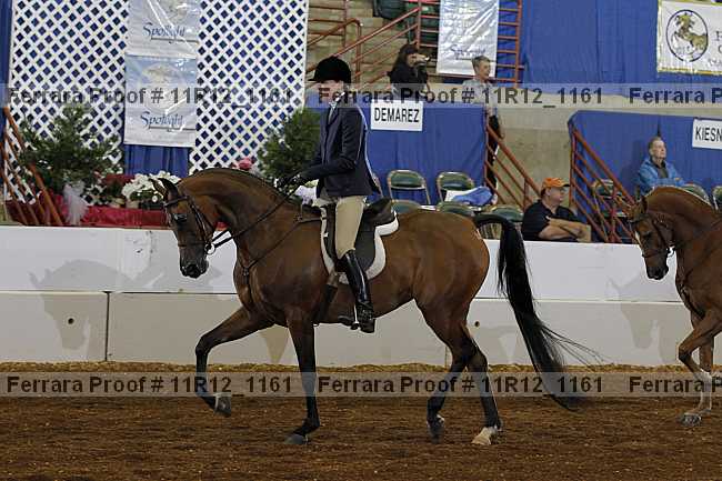 Proof 11r12_1161