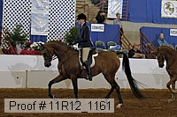 11r12_1161 proof