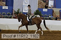 11r12_1162 proof