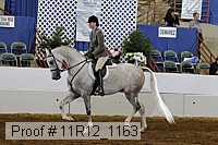 11r12_1163 proof