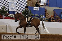 11r12_1164 proof