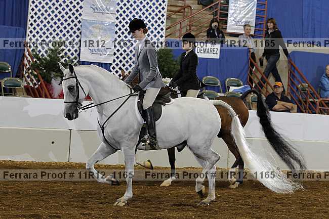 Proof 11r12_1165