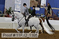 11r12_1165 proof