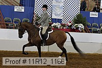 11r12_1166 proof