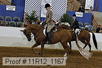 11r12_1167 proof