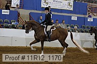 11r12_1170 proof