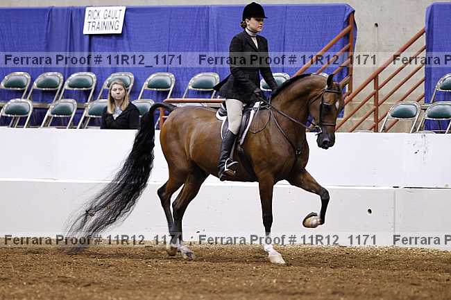 Proof 11r12_1171