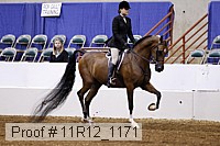 11r12_1171 proof