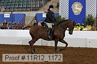 11r12_1172 proof