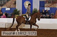 11r12_1173 proof