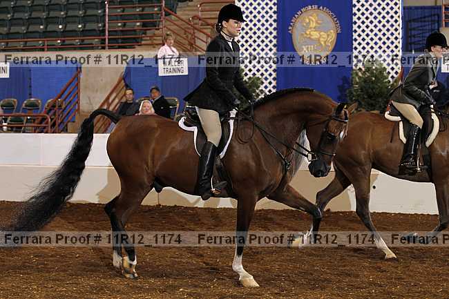 Proof 11r12_1174