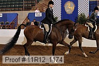 11r12_1174 proof
