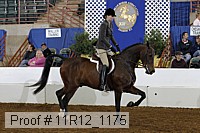 11r12_1175 proof