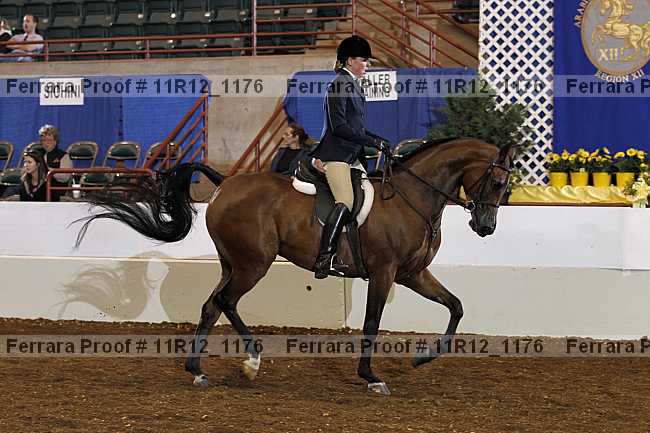 Proof 11r12_1176