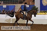 11r12_1176 proof