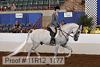 11r12_1177 proof