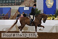 11r12_1178 proof