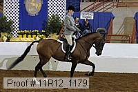 11r12_1179 proof