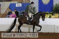 11r12_1181 proof