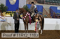 11r12_1183 proof