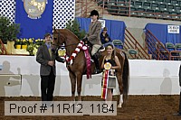 11r12_1184 proof