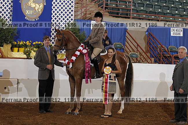 Proof 11r12_1186