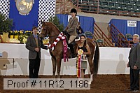 11r12_1186 proof