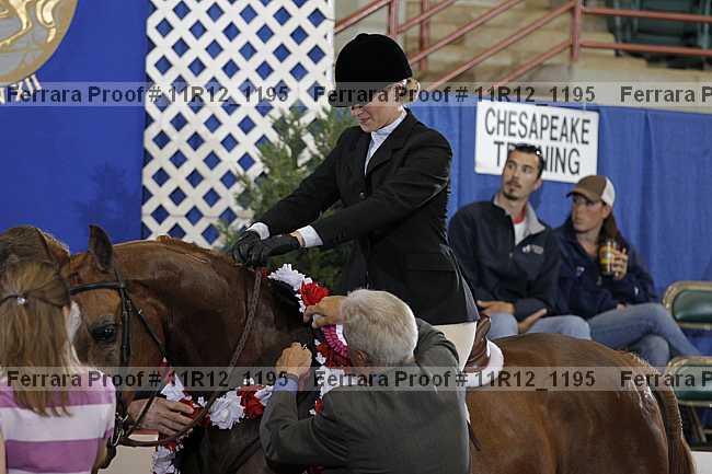 Proof 11r12_1195