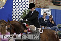 11r12_1195 proof