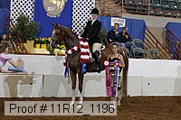 11r12_1196 proof