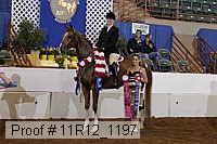 11r12_1197 proof