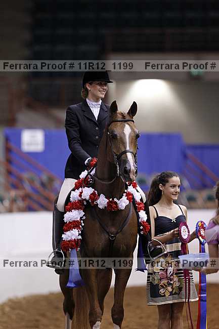 Proof 11r12_1199