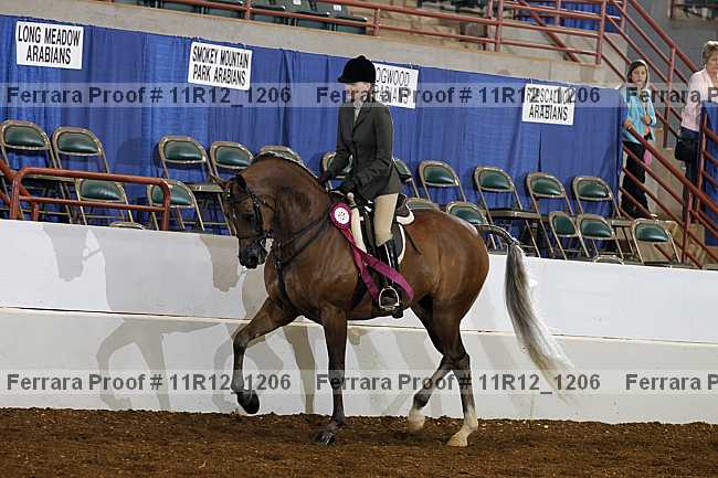 Proof 11r12_1206