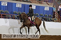 11r12_1206 proof