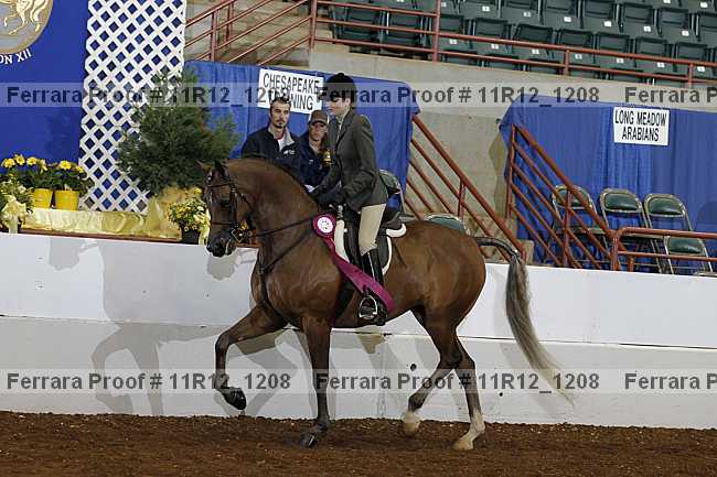 Proof 11r12_1208
