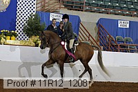 11r12_1208 proof