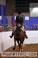 11r12_1209 proof