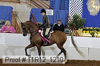 11r12_1210 proof